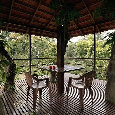 Morgan Manor By Ewa Properties Chikmagalur Ngoại thất bức ảnh